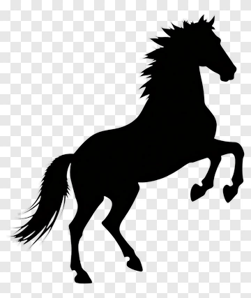 Black Horse Rearing Up PNG