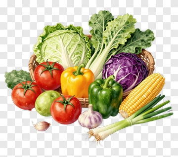 Basket Of Fresh Vegetables PNG