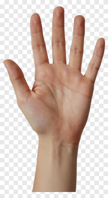 Open Hand PNG
