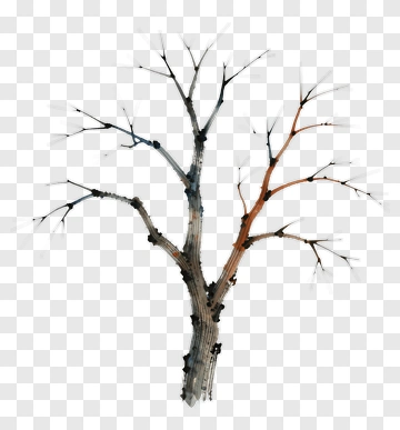 Abstract Tree With Bare Branches PNG