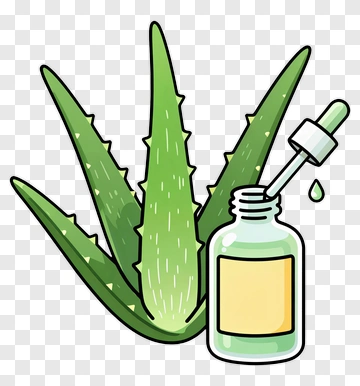 Aloe Vera Plant With Essential Oil Bottle PNG