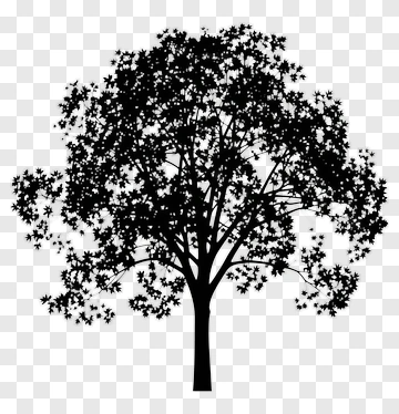 Silhouette Tree PNG