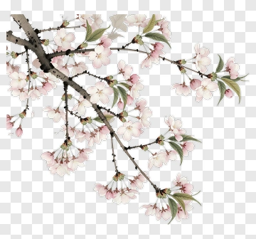 Cherry Blossom Branch PNG