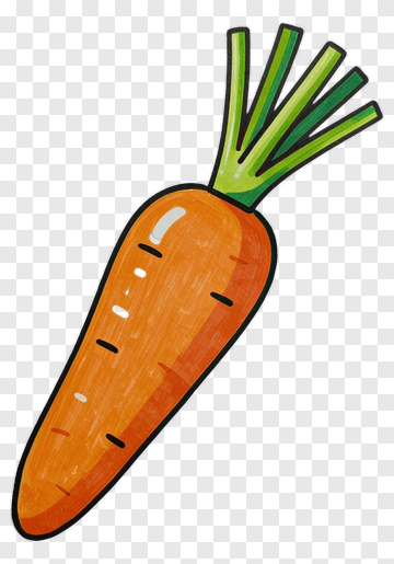 Cartoon Carrot PNG