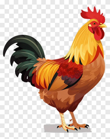 Colorful Rooster PNG