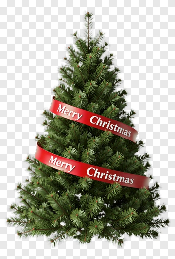 Christmas Tree With Merry Christmas Ribbons PNG