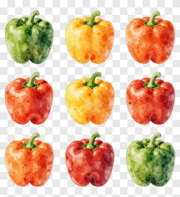 Colorful Bell Peppers Arrangement PNG
