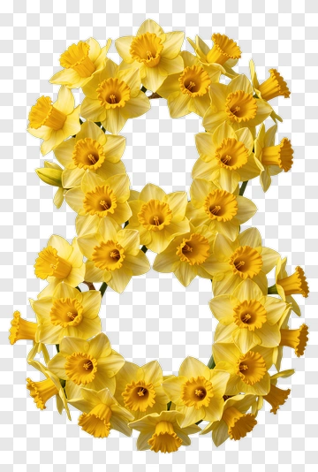 Floral Number Eight Made Of Daffodils PNG