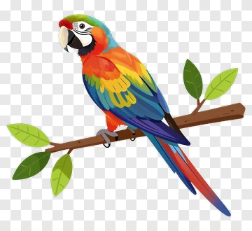 Colorful Macaw Parrot On A Branch PNG