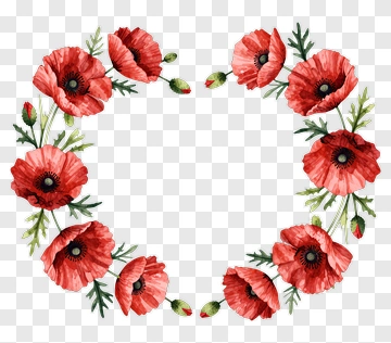 Watercolor Poppy Flower Wreath PNG