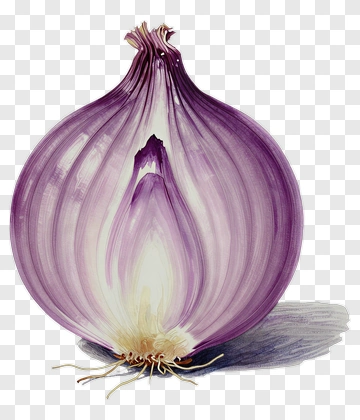 Purple Onion PNG