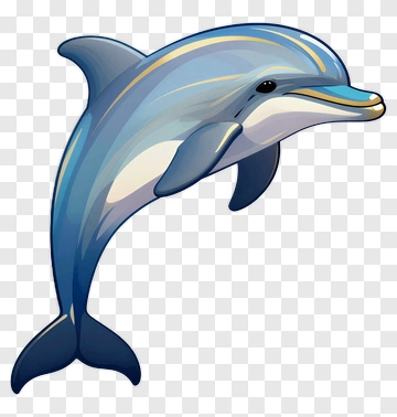 Cartoon Dolphin PNG