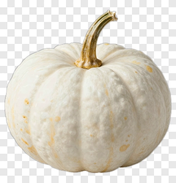 White Pumpkin PNG