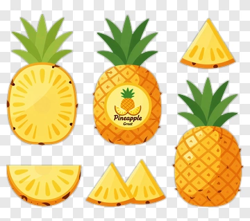 Pineapple Illustration With Slices And Label PNG