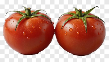 Fresh Red Tomatoes PNG