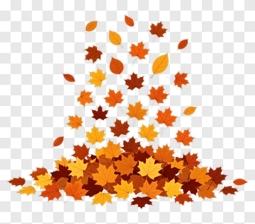 Colorful Falling Autumn Leaves PNG