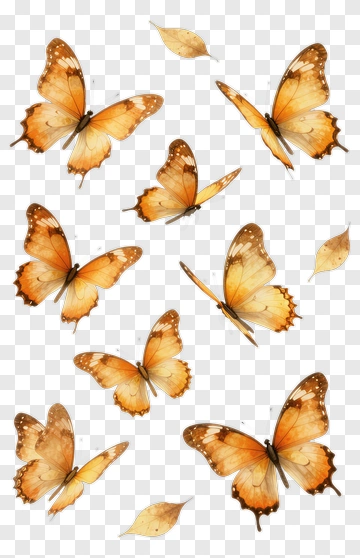 Group Of Orange Butterflies With Leaves PNG