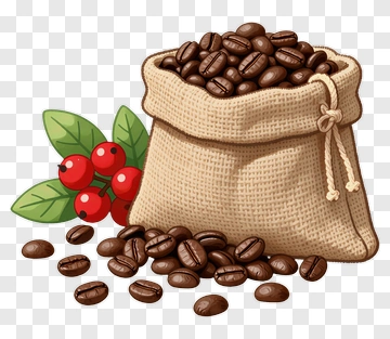 Coffee Bag With Beans And Coffee Cherries PNG