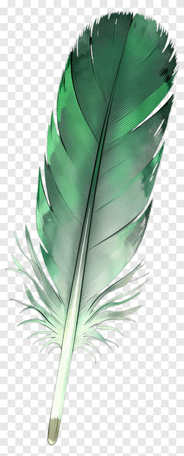 Green Feather PNG