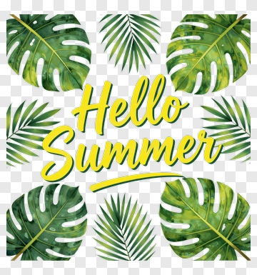 Hello Summer With Tropical Leaves PNG