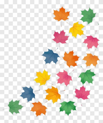 Colorful Autumn Leaves PNG