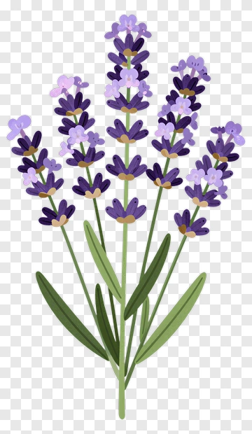 Lavender Flower Bouquet PNG