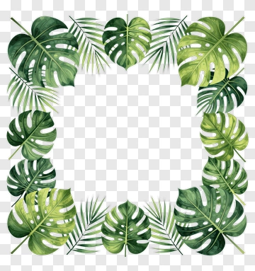 Square Frame Of Tropical Palm And Monstera Leaves PNG