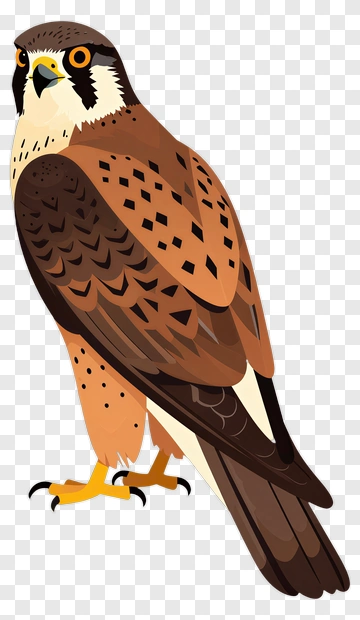 Cartoon Falcon Standing Proudly PNG
