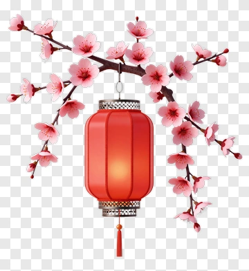 Red Lantern Hanging From Cherry Blossom Branch PNG