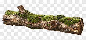 Mossy Log PNG