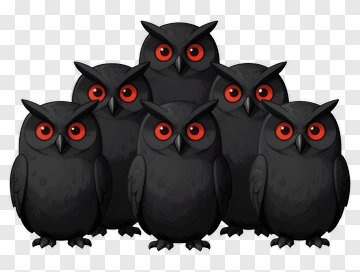 Cartoon Black Owl Group PNG