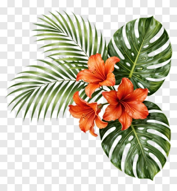 Tropical Flowers And Leaves Arrangement PNG