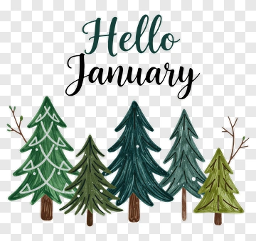 Hello January With Colorful Trees PNG