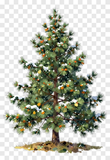 Colorful Tree With Oranges And Snow PNG