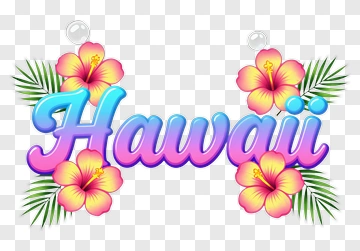Hawaii Text With Hibiscus Flowers PNG