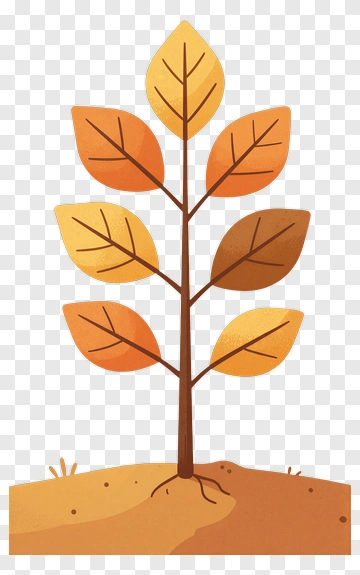 Colorful Tree With Autumn Leaves PNG