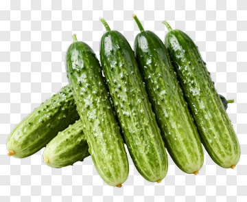 Fresh Cucumbers PNG