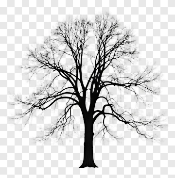 Silhouette Tree PNG
