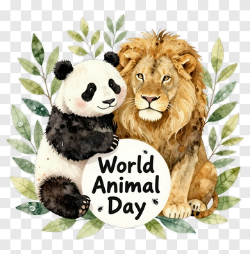 Panda And Lion Celebrating World Animal Day PNG