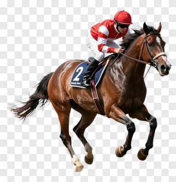 Jockey Riding A Racehorse PNG