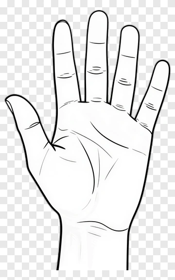 Hand Gesture PNG