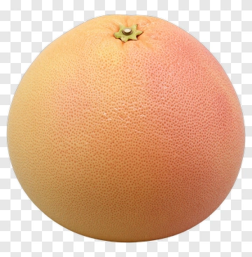Grapefruit PNG