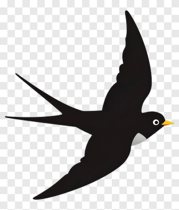 Black Bird In Flight PNG