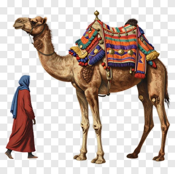 Person Walking Beside A Camel PNG