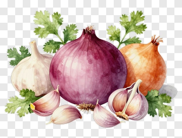 Colorful Onions And Garlic With Fresh Cilantro PNG