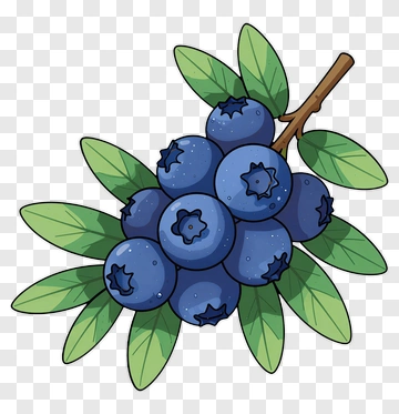 Cartoon Blueberries With Leaves PNG
