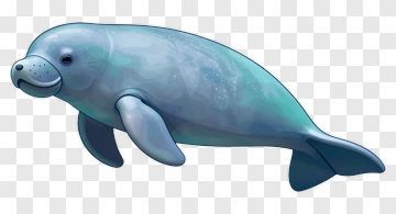 Cartoon Manatee Swimming PNG