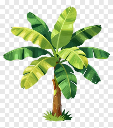 Colorful Banana Tree PNG