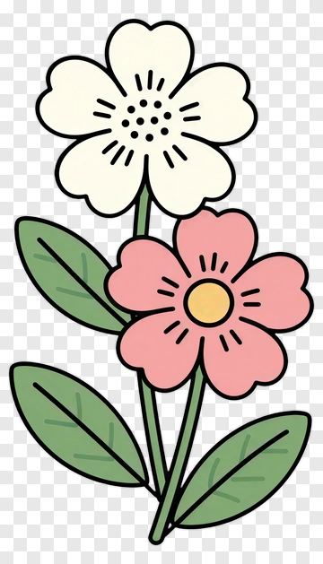 Colorful Flower Bouquet PNG