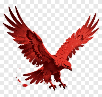 Red Hawk In Flight PNG
